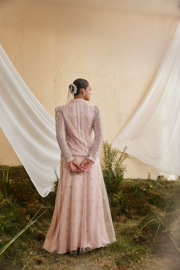 Peach Rose