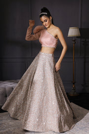 Powder Pink Blouse  & Champagne Silver Embroidered Skirt Set