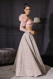 Powder Pink Blouse  & Champagne Silver Embroidered Skirt Set