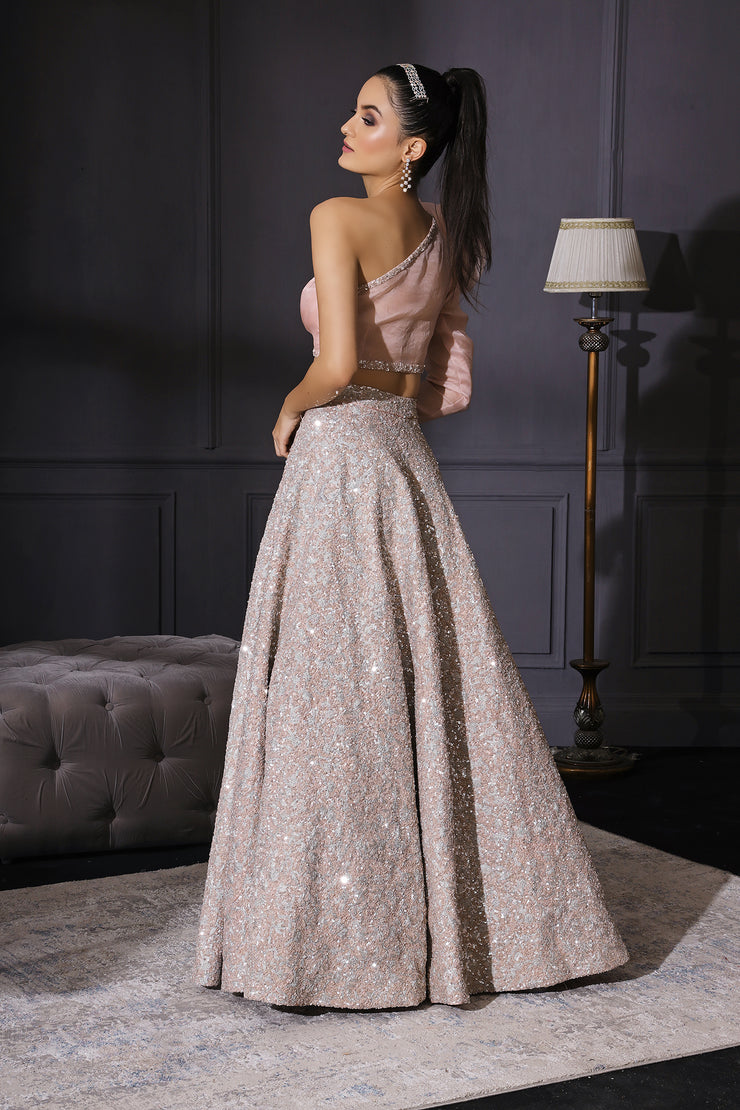 Powder Pink Blouse  & Champagne Silver Embroidered Skirt Set