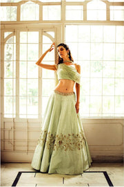Sage Green Lehnga with Net Blouse
