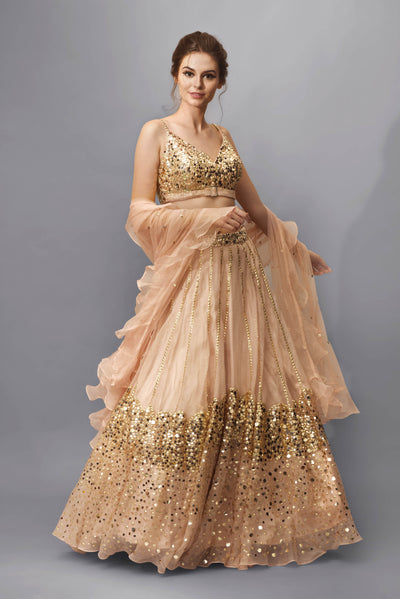 Nude Pink Sequins Embellished Lehenga