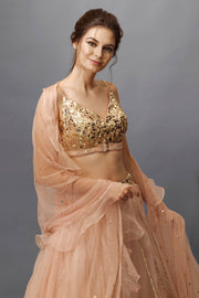 Nude Pink Sequins Embellished Lehenga