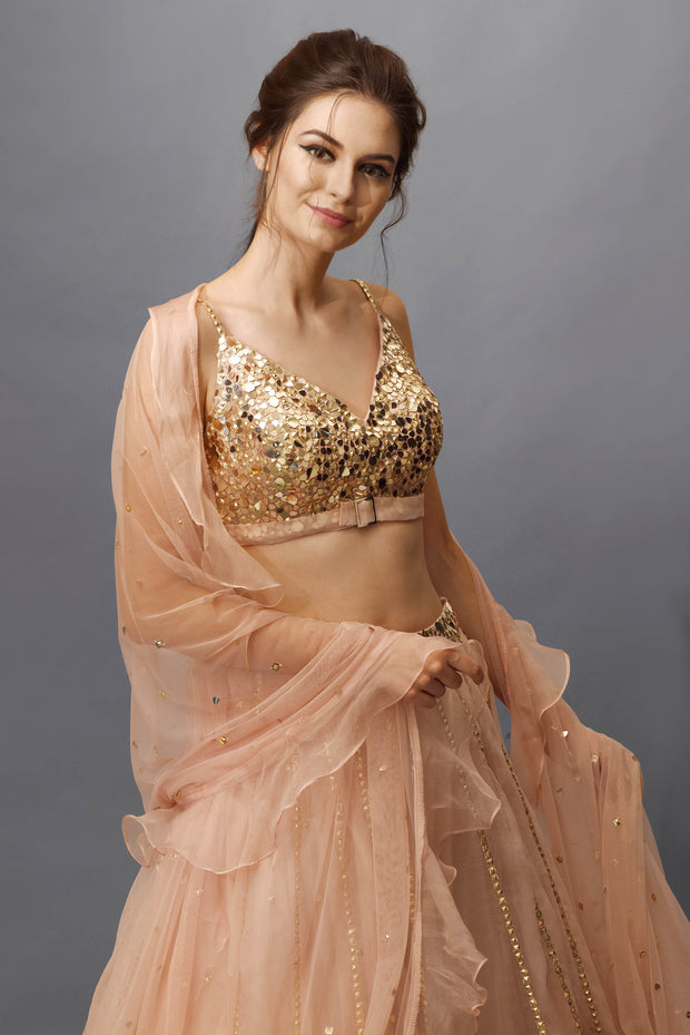 Nude Pink Sequins Embellished Lehenga