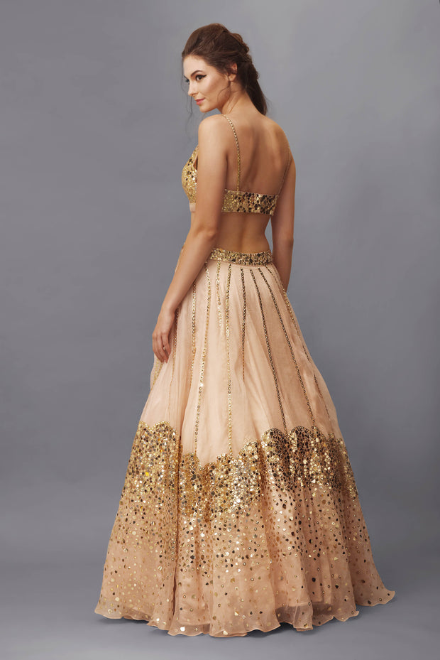 Nude Pink Sequins Embellished Lehenga