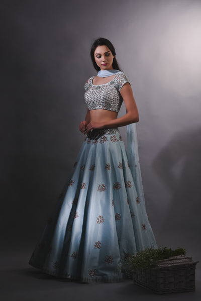 Sky Blue Cutdana Embroidered Lehenga