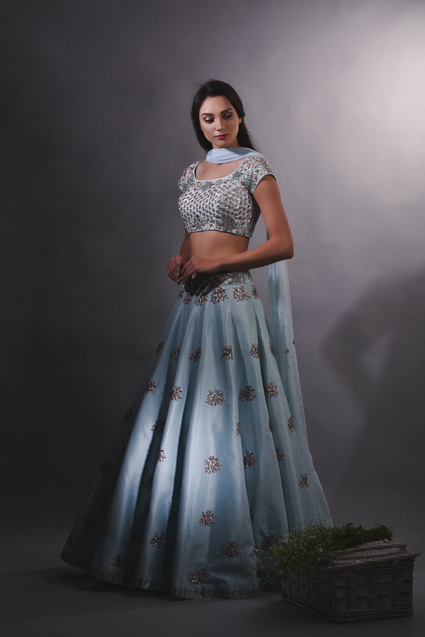 Sky Blue Cutdana Embroidered Lehenga