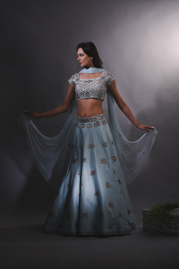 Sky Blue Cutdana Embroidered Lehenga