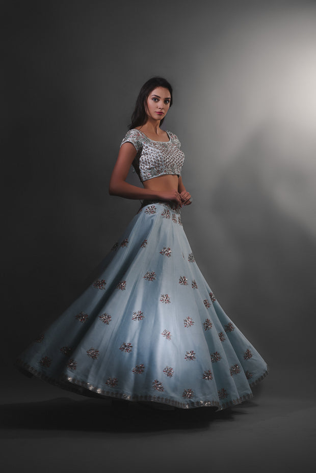 Sky Blue Cutdana Embroidered Lehenga