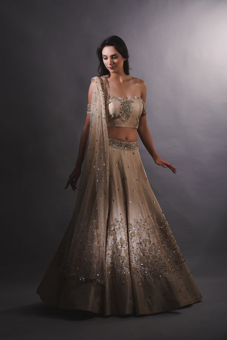 Gold and Rose Gold Cutdana Embroidered Lehenga Set