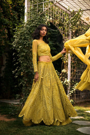 Lime Green & Gold Lehnga Set