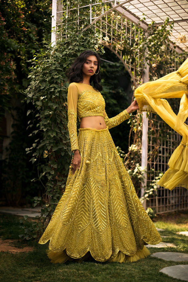 Lime Green & Gold Lehnga Set