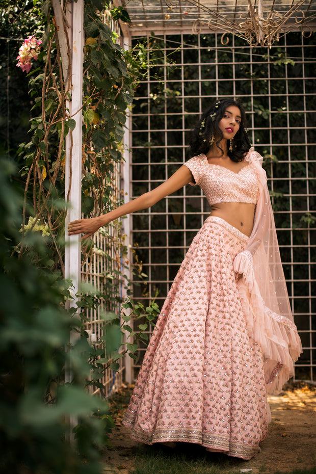 Tea Pink Cutdana Lehnga Set