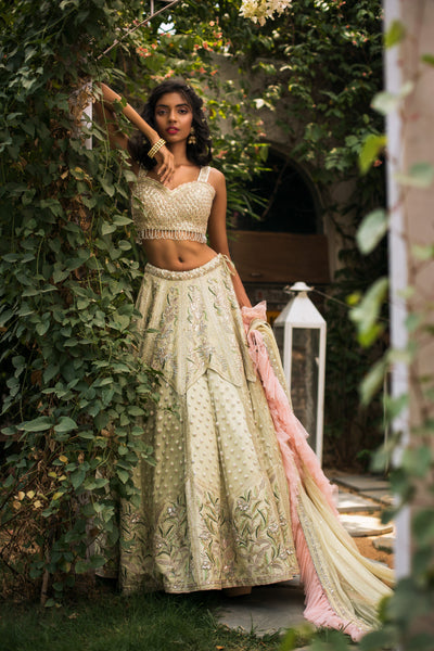 Pastel Green & Pink Embellished Lehnga Set