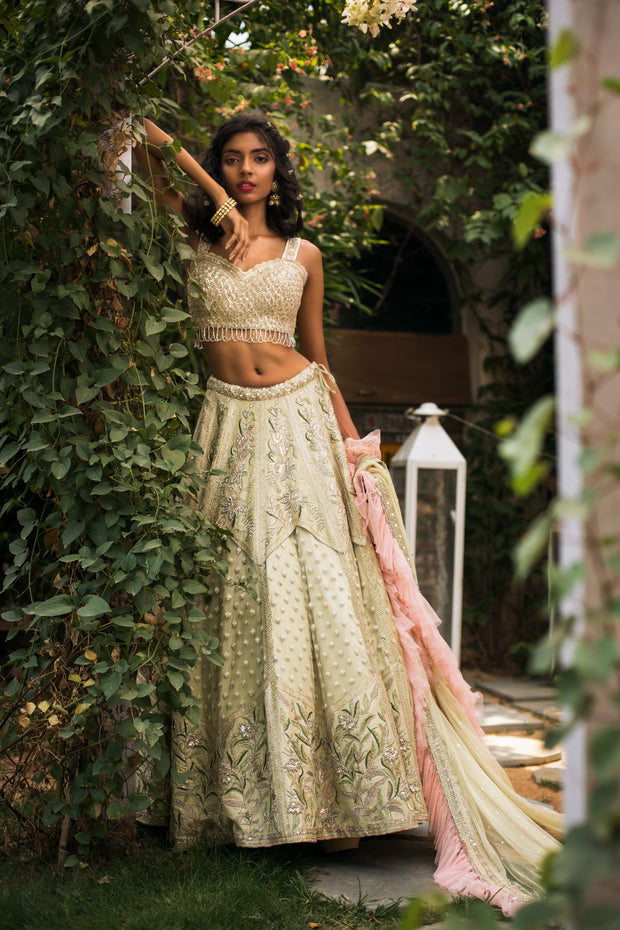 Pastel Green & Pink Embellished Lehnga Set