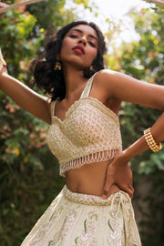 Pastel Green & Pink Embellished Lehnga Set