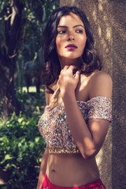 Pink and Red Embroidered Lehenga Set